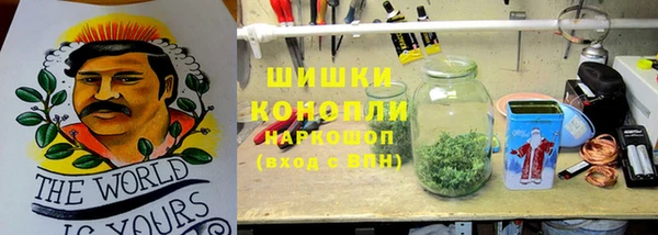 PSILOCYBIN Белая Калитва